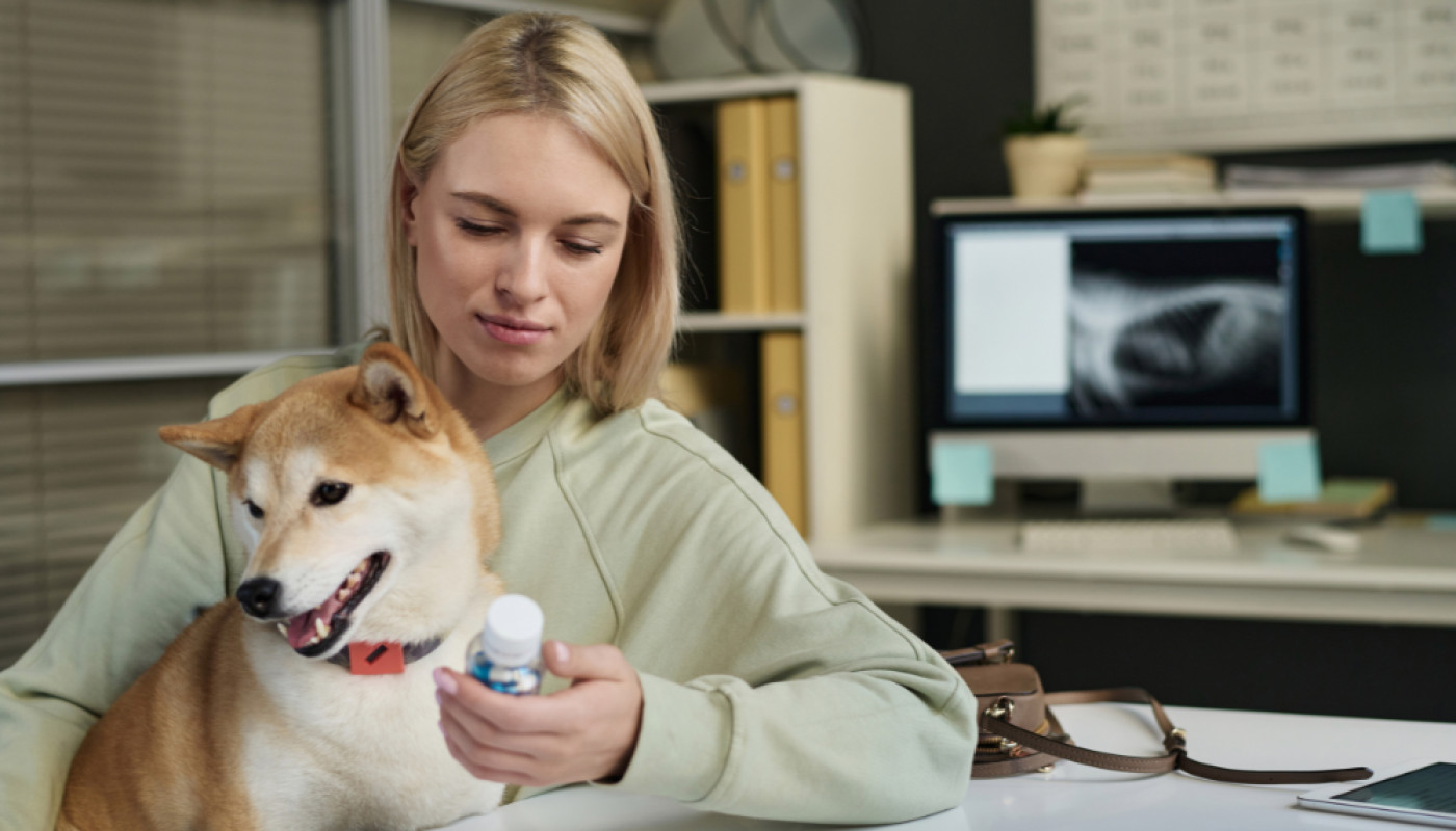 Labo Demeter, spécialiste des anti-douleurs pour chien naturels